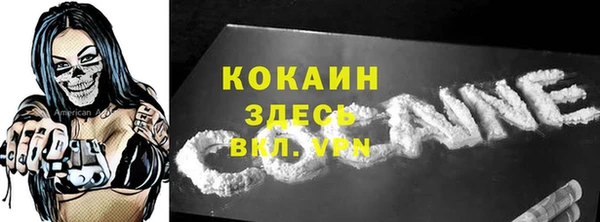 гидра Абаза