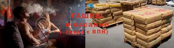 гидра Абаза