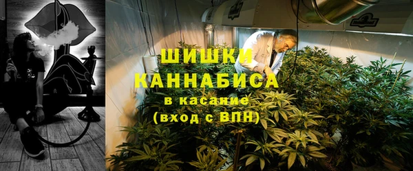 гидра Абаза
